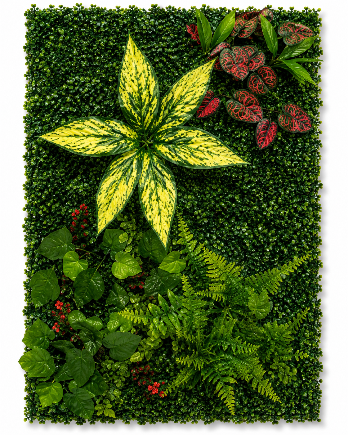 Golden Harvest Botanical Grass Wallpaper