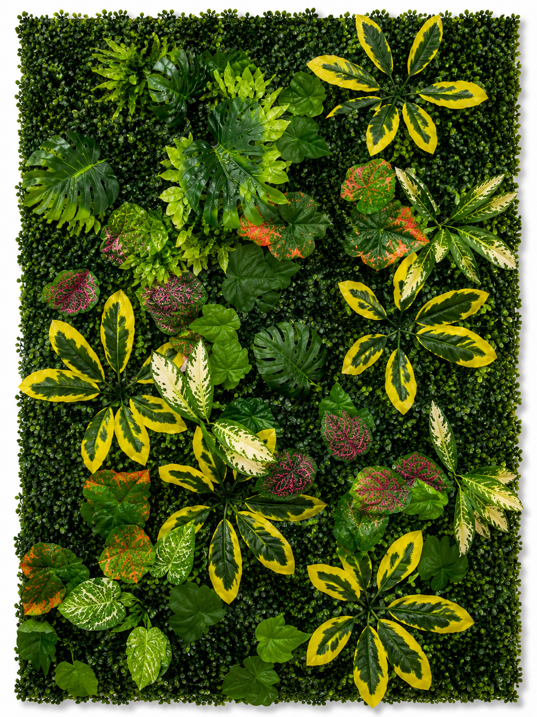 Serene Botanical Meadow Grass Wallpaper